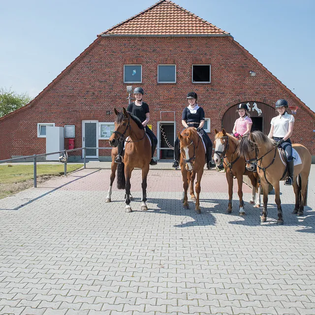 Reiterhof Harms Norderney Pferdehof